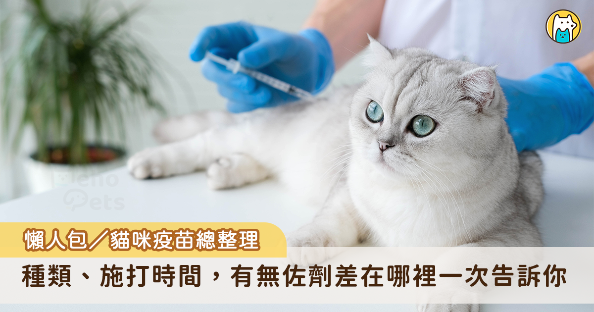 飼主除了照顧貓咪的生活起居之外，定期帶牠們施打疫苗能有效預防疾病，但市面上的疫苗分好多種，像是核心和非核心疫苗、多價疫苗是什麼？疫苗有佐劑跟無佐劑又差在哪裡？新手飼主看得眼花撩亂，以下整理出貓咪的疫苗懶人包，幫助飼主釐清自家愛貓適合施打哪些疫苗，以及建議的疫苗施打時間。