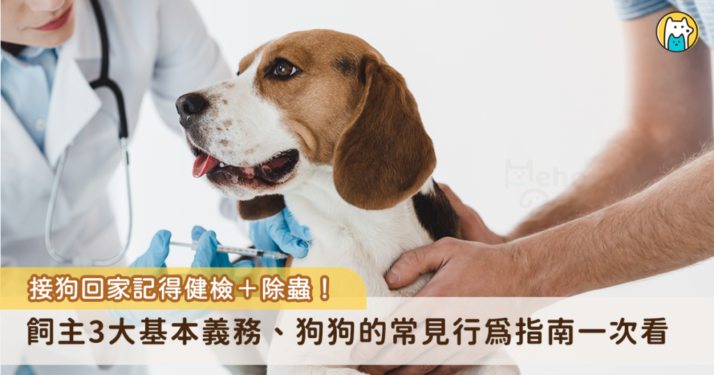 飼主做好事前的準備，選擇了一個好日子迎接狗狗回家，在這之前，確認狗狗的身體狀況和驅蟲是很重要的 2 件事，確保毛孩的健康讓牠們免於寄生蟲的侵害，另外也要記得進行節育和打晶片。根據動保法規定，寵物飼主有 3 大基本義務，包含晶片植入、狂犬病注射以及幫寵物絕育，若是決定要成為毛爸媽，不要忘了幫牠們做好以上的措施。