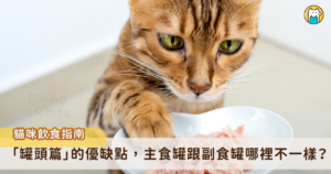 貓咪是完全的肉食性動物，以富含動物性蛋白質、適量脂肪和僅約 2% 碳水化合物的食物為主。研究指出，貓咪的唾液中不存在澱粉酶，與其他的雜食動物相比，牠們的胃腸道相對較短，因此貓咪消化肉類的速度比蔬菜快很多。貓咪需要直接從動物源食物中獲取維生素A，也需要透過飲食攝取牛磺酸，來滿足牠們的營養需求。