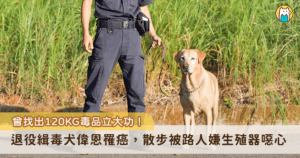 工作犬值得應有的尊重。一隻海關緝毒犬「偉恩」曾在執勤期間搜出 120 公斤的毒品，立下大功，退役後因生病手術切除腫瘤部位，導致生殖器外皮裸露。前陣子認養家庭帶偉恩出門散步，被一位路人嫌生殖器很噁心，甚至出口罵出「沒用的畜生」，種種帶有攻擊性的話語讓認養家庭生氣又難過。