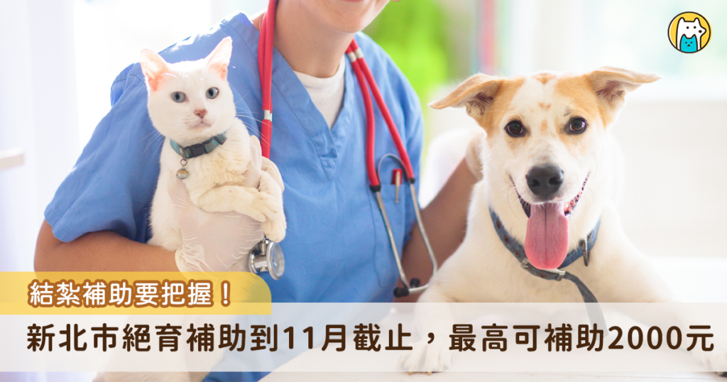 新北市政府動保處為鼓勵民眾為家犬貓或遊蕩犬貓進行絕育，只要設籍新北市民都可以申請「113 年犬貓絕育補助」，飼主需攜帶犬貓至與動保處合作的動物醫院進行絕育手術，並確認有施打狂犬病疫苗、晶片植入及寵物登記才可提出申請。補助將於 113 年 11 月底截止收件，請民眾把握時間申請。