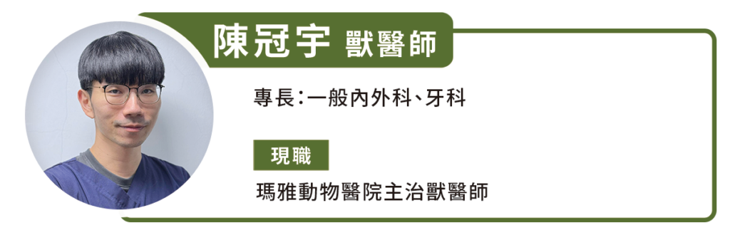 一隻 2 歲的絕育米克斯公貓從 4 月底開始不斷打噴嚏，鼻孔流出大量濃汁，雙耳也有膿樣的分泌物，食慾不佳需要靠灌食維持營養，隨後到瑪雅動物醫院進行鼻腔內視鏡手術。檢查後發現貓咪的鼻腔除了大量的膿塊，還纏繞著許多棉絮。原來貓咪平時喜歡把娃娃咬破，裡面的棉絮意外跑進鼻腔裡面，造成異物阻塞，開始鼻子流膿、也導致貓咪雙側鼓膜破裂。