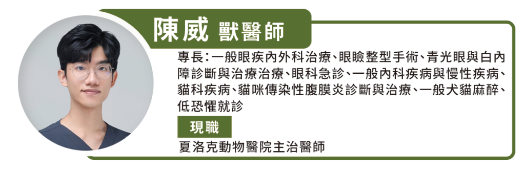 一隻10歲貴賓犬「妞妞」走路常常會撞到東西，眼睛也變得混濁，飼主帶到動物醫院進行眼科檢查，才發現愛犬雙眼成熟期白內障，雙眼失去視力。夏洛克動物醫院主治醫師陳威表示，白內障常見的症狀主要是視力下降，眼睛外觀會看到水晶體變白，而隨著白內障水晶體的嚴重程度，慢慢可能變成完全視力的喪失，目前唯一有效的治療方式就是透過手術移除白內障的水晶體。