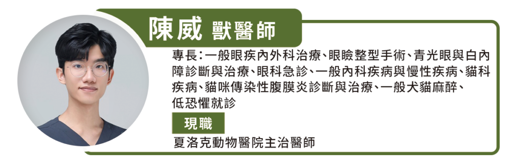 一隻10歲的雌性貴賓狗「妞妞」今年開始走路常常撞到東西，眼睛也變得混濁，飼主帶牠到動物醫院檢查，發現牠雙眼罹患白內障，皆沒有視力。經過專業獸醫師的綜合評估，左眼進行超音波乳化術，右側視網膜剝離且誘發葡萄膜炎，則持續點藥控制發炎。妞妞經過手術後恢復視力，回診時看到獸醫會躺在診療台翻肚討摸。