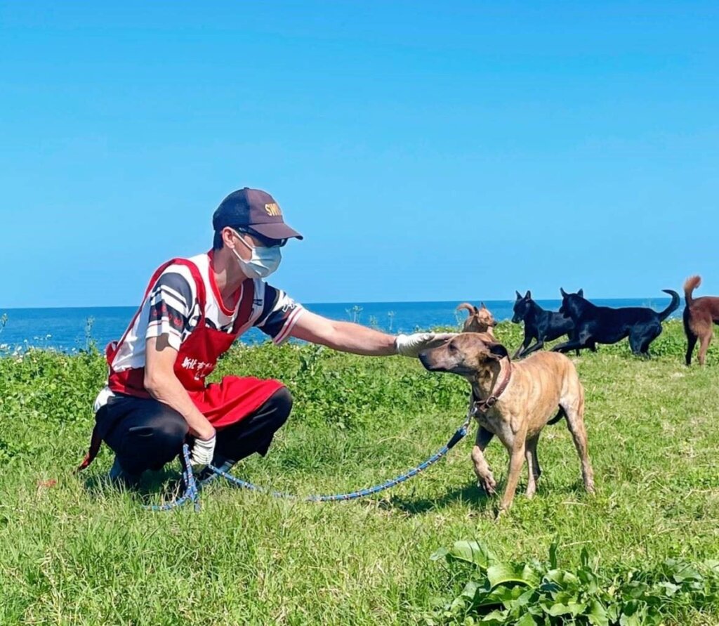 新北市淡水動物之家收容一隻米克斯虎斑犬「安安」，因生病被通報進所，意外與從美國回來度假的愛狗人士葛倫太太相遇，接回家代養一段時間。這段期間，葛倫太太被安安溫柔機智的個性融化，決定帶牠回美國生活，安安也從台灣浪浪的身份被寵成加州小公主。