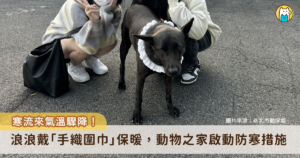 寒流來襲，許多民眾會提供保暖衣物布料給動物之家動物們，新北市動保處各區動物之家加強盤點衣物布料數量，也會依溫度不同適時啟動防寒設備如保溫燈及暖爐等。輔大織品服裝學系織品設計組學生，用巧手設計各種尺寸可愛動物圍巾，親手織的每件圍巾溫暖厚實，學生在寒冬為浪浪手織圍巾獻愛心，讓大小毛寶貝開心迎新年。