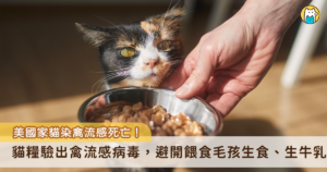 美國傳出多起動物感染禽流感的案例，美國洛杉磯公共衛生局特別公告，呼籲飼主避免貓狗餵食生食產品、所有生乳製品。據了解，洛杉磯已有數隻貓咪食用生牛乳確診禽流感死亡，也有家貓食用遭禽流感病毒汙染的生食導致死亡。