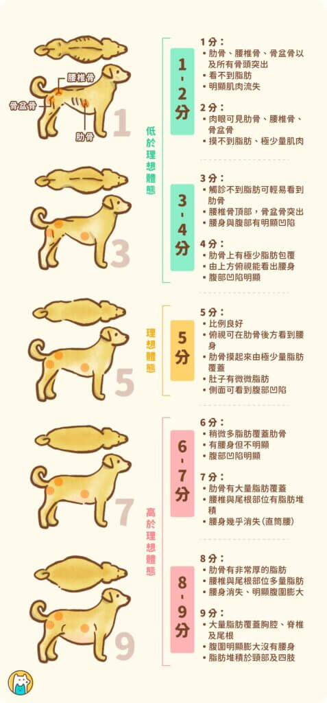 全球小動物獸醫學會（WSAVA）訂定一套體態評分系統(BCS)，從過瘦到過胖以 1-9 分作為評分依據，提供飼主自行評估寵物胖瘦狀態。