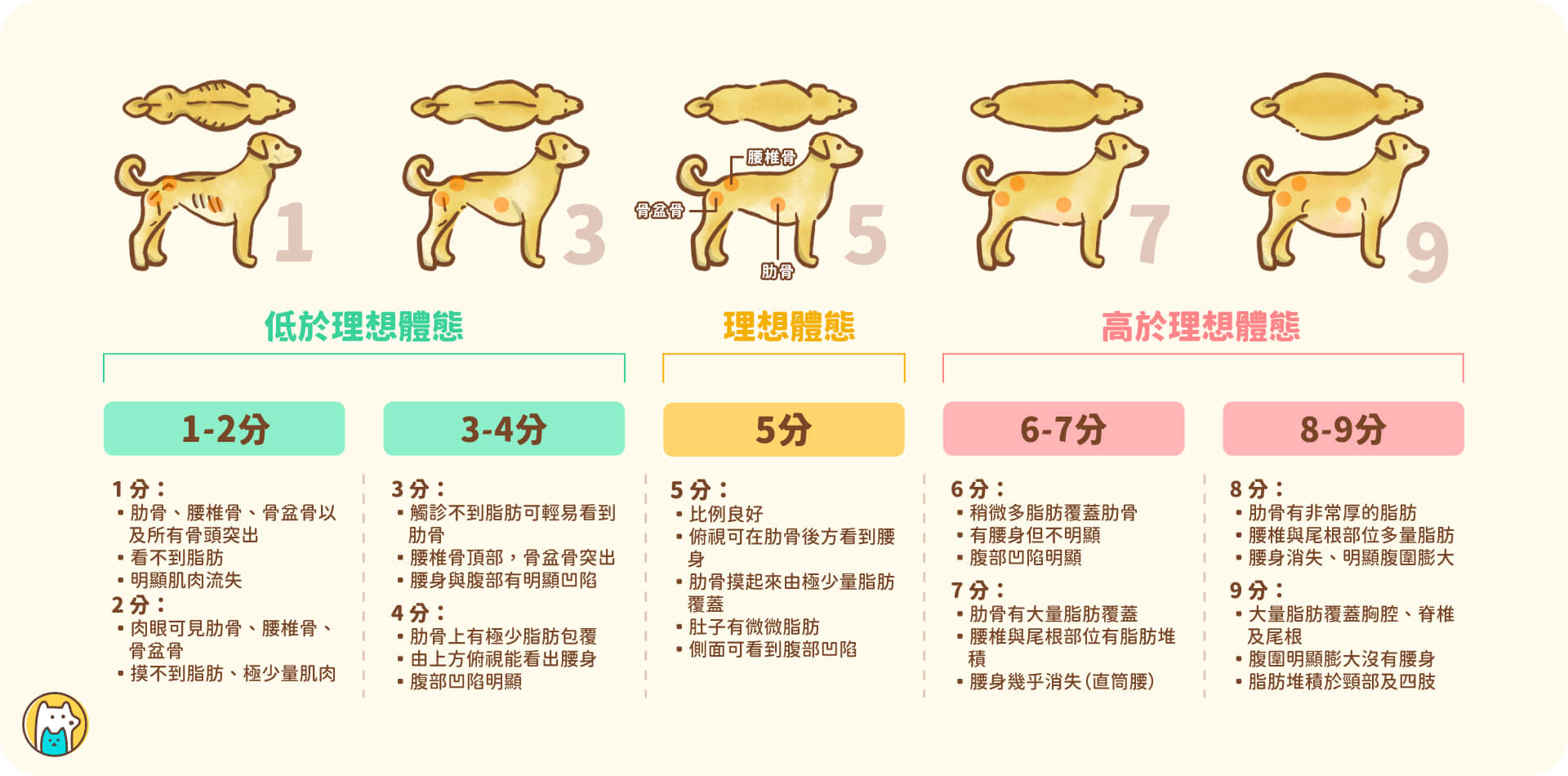 全球小動物獸醫學會（WSAVA）訂定一套體態評分系統(BCS)，從過瘦到過胖以 1-9 分作為評分依據，提供飼主自行評估寵物胖瘦狀態。