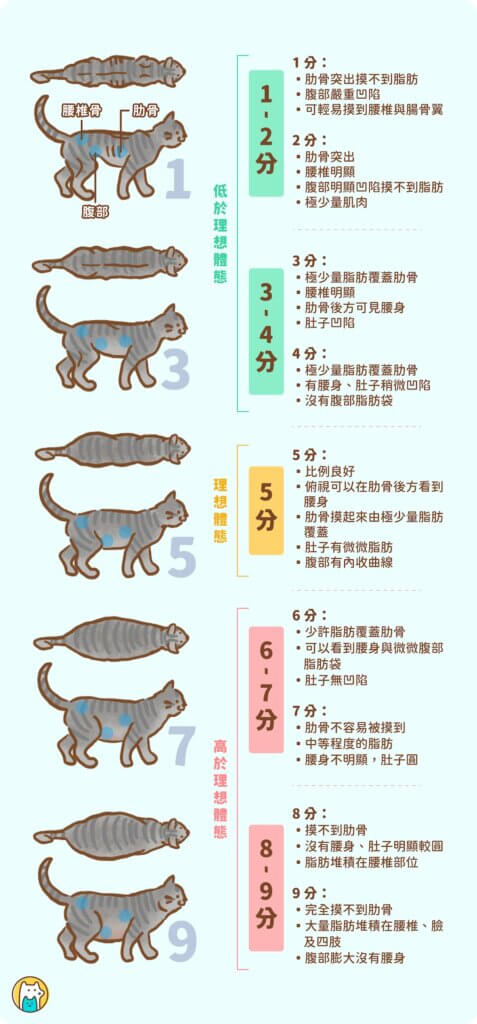 全球小動物獸醫學會（WSAVA）訂定一套體態評分系統(BCS)，從過瘦到過胖以 1-9 分作為評分依據，提供飼主自行評估寵物胖瘦狀態。