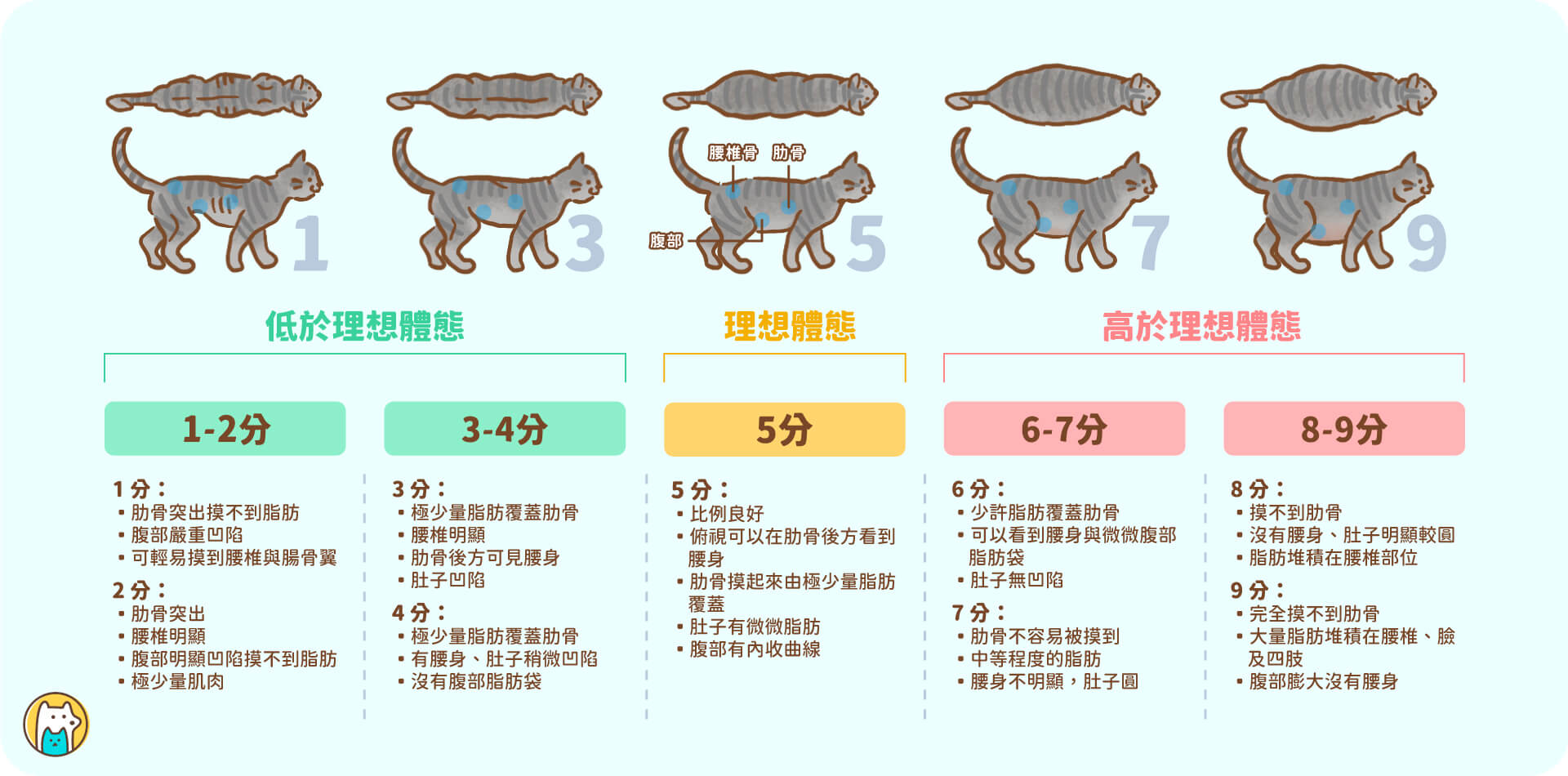 全球小動物獸醫學會（WSAVA）訂定一套體態評分系統(BCS)，從過瘦到過胖以 1-9 分作為評分依據，提供飼主自行評估寵物胖瘦狀態。