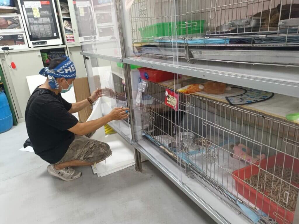 新北市板橋動物之家每年送養約 700 隻貓，看到照顧的貓咪們擁有自己的歸宿，是每一位照護員和志工最大的心願。不過動物之家貓咪來來去去，稍有不甚就容易相互感染疾病，為使認養民眾可以無距離清楚看到想認養貓咪模樣，同時避免重疊觸碰傳染，板橋動物之家貓舍認養區除加強定期籠具消毒，更增加裝設可拆卸消毒透明窗，讓貓咪健康更有保障。