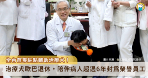 台北榮民總醫院為全台灣首例引進駐點於醫院的輔助治療犬，將導盲犬轉治療犬的黑色拉布拉多犬「歐巴（Oba）」視為正式員工並授予職員證。歐巴在北榮服務超過 6 年，如今隨著年紀漸長，歐巴將於今年光榮退休，被北榮封為「榮譽員工」，前總統蔡英文也特別到醫院慰勞這位小夥伴，並帶著自製牛肉乾幫歐巴加菜。