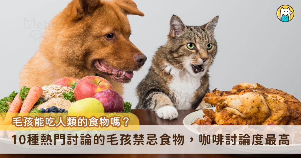 許多家中飼養犬貓的民眾都相當疼惜自家毛寶貝，吃的、用的都想給牠們最好的，還會想將人類餐桌上的食物分享給牠們；然而貓狗的身體構造與機能都和人類大不相同，如果沒搞清楚就隨意餵食，可能會造成牠們中毒甚至死亡。