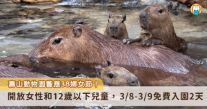 每年的 3 月 8 日是國際婦女節，高雄壽山動物園宣布，為了歡慶 38 婦女節，全國女性遊客及 12 歲以下兒童為期 2 天免費入園，壽山動物園前陣子新增水豚寶寶三胞胎及迷你驢寶寶等成員，歡迎民眾前來探訪新生動物。