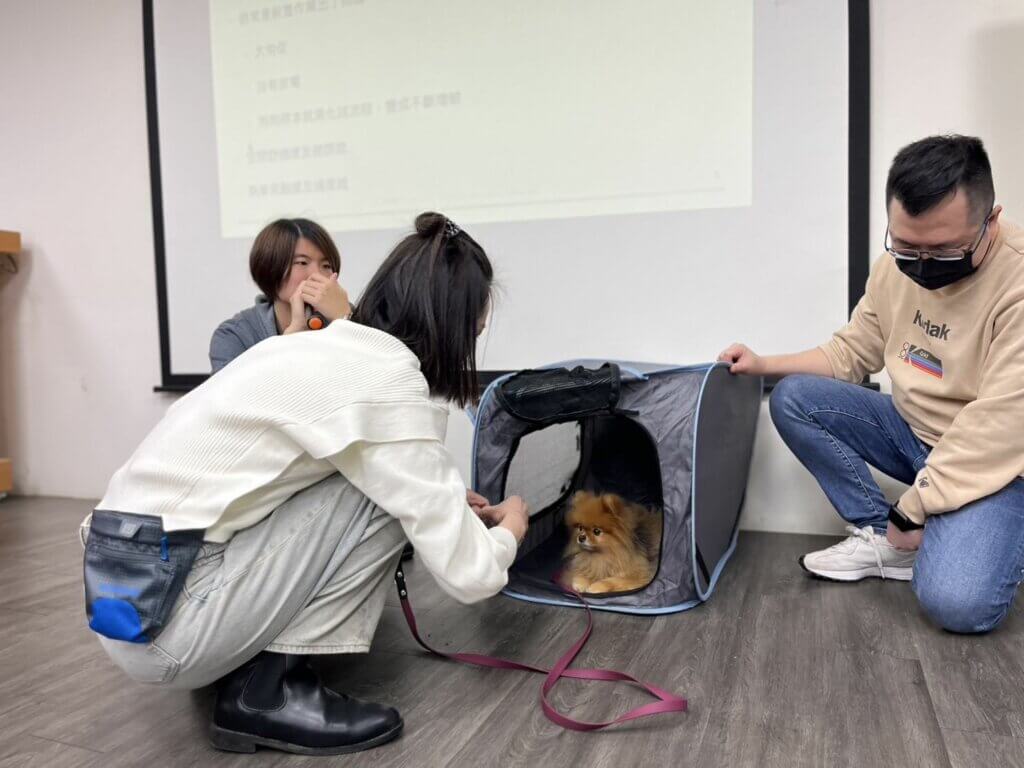 許多飼主在飼養犬隻時，常面臨如廁訓練、吠叫、指令教學等問題，為解決飼養問題，動保處與專業訓犬師合作，除開辦訓練課程，今年加碼開辦到宅犬隻行為訓練，遇有無法出門高敏感性需到宅訓練犬隻，飼主可向動保處致電報名，透過正確方法，引導犬隻學習基本指令改善不當行為，提升人寵互動品質。