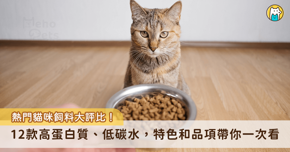 貓咪的飲食主要分為濕食與乾食，貓飼料是許多飼主的選擇之一，市面上有許多不同品牌和成分的飼料該如何挑選呢？Heho Pets 整理出 12 款低碳水化合物且討論度高的飼料品項，提供給想買乾乾給貓主子卻不知道該如何下手的飼主們。