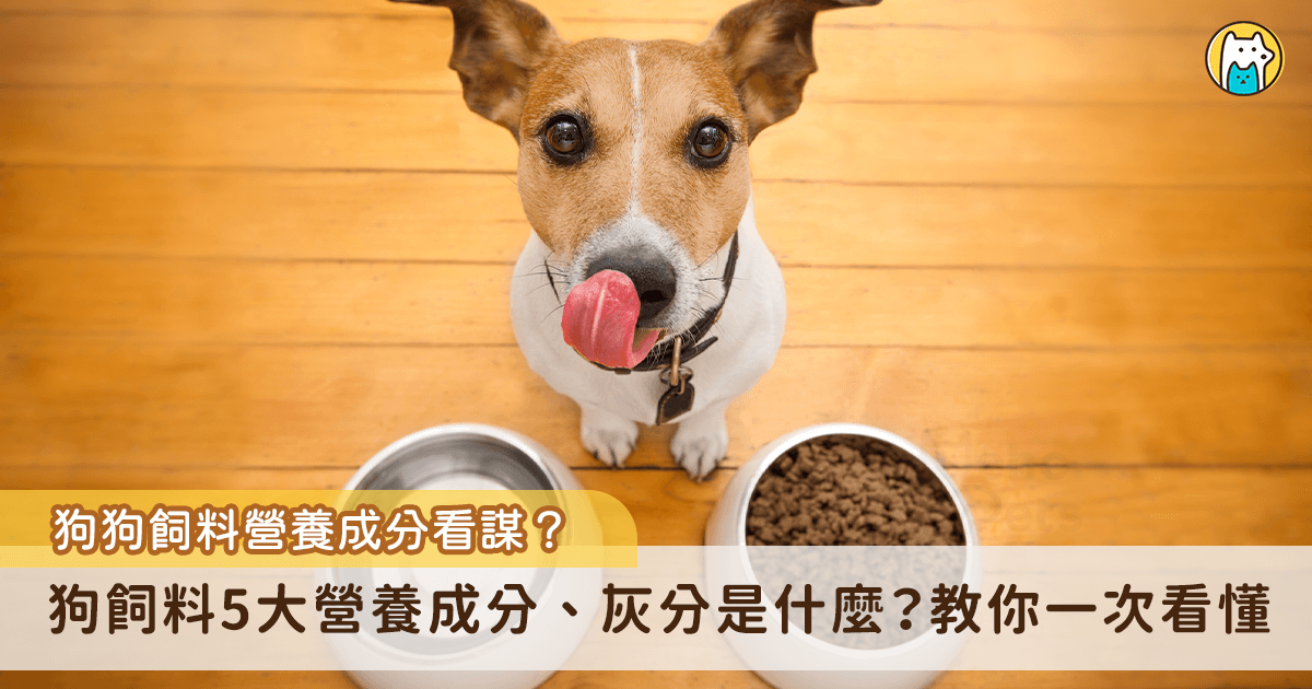 狗狗的健康與日常的飲食息息相關，市面上有許多不同品牌的乾糧，飼料背後有許多成分表看了眼花撩亂、不知道該如何挑選，建議飼主可以先從留意成分當中的蛋白質、脂肪、碳水化合物開始，以挑選蛋白質含量高、食材天然的產品為主，脂肪和碳水化合物則適量。以下教飼主輕鬆看懂飼料營養標示的內容，幫家裡愛犬挑選出合適且CP值高的狗狗飼料。