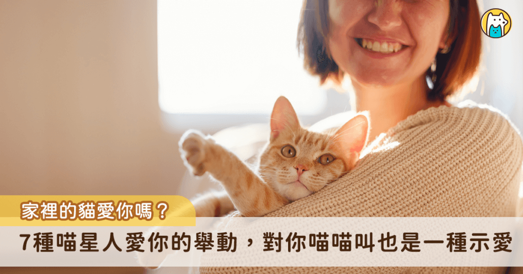 貓咪的臉部肌肉比較少，表情沒有狗狗或人類來得豐富，因此經常被誤認為牠們臉臭或是偏冷漠，但其實貓咪會用自己的獨門方式來表達情緒，想要知道貓咪愛不愛你，能從牠們的行為舉止和肢體表現察覺。以下整理出 7 個貓咪常見示愛的舉動，一起來看看你家中幾項。