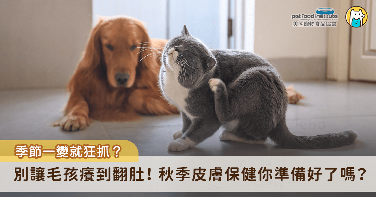 對許多人而言，秋天是舒適的季節，但對毛孩來說，可能是皮膚病好發時期。尤其在台灣潮濕多變的氣候下，毛孩可能出現搔癢、掉毛或紅腫等狀況，不免令飼主擔心這是單純換季乾癢，還是潛藏的皮膚問題。先了解皮膚過敏的原因與類型，更能幫助飼主了解皮膚病對毛孩造成的影響。