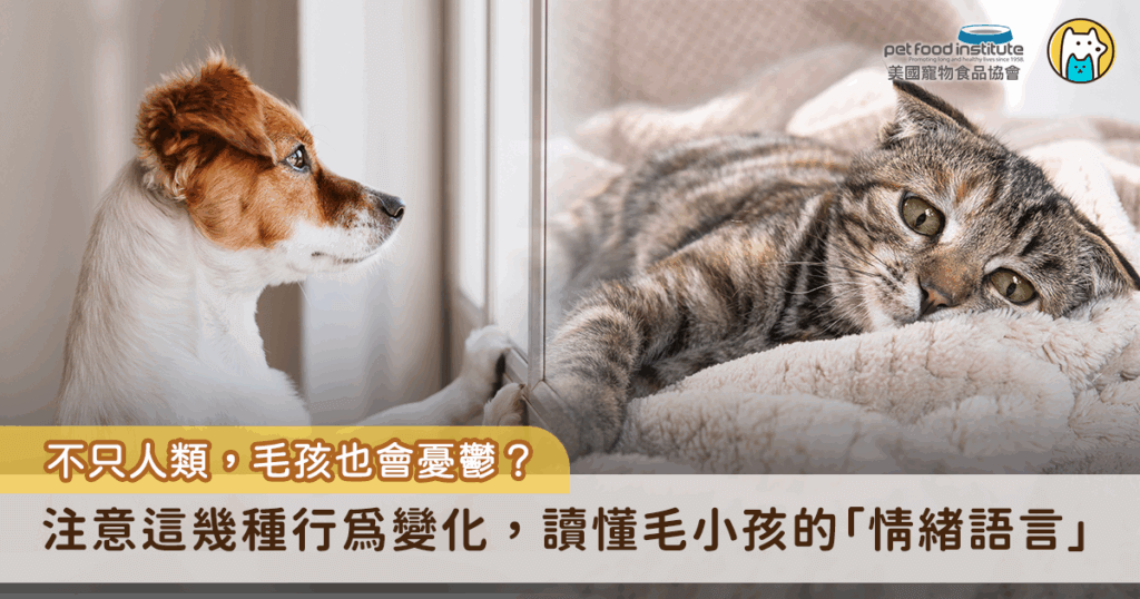 你知道嗎？不論是狗狗還是貓咪，我們身邊的毛孩也有可能會陷入「憂鬱」情緒，而不同於人類能用語言表達，毛孩的情緒多半藏在日常行為與生活習慣裡。根據獸醫臨床觀察，許多看似異常的行為，其實是來自心理壓力、疼痛或是環境變化所導致的反應。身為飼主的我們唯有學會讀懂毛孩的「情緒語言」，才能及早發現異狀，給予牠們正確的照顧。