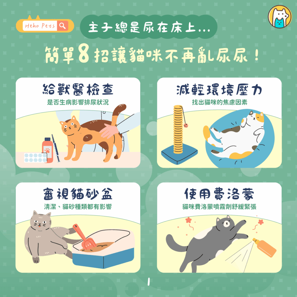 亂尿不是愛搗亂!8 技巧有效改善在貓咪在床上亂尿尿 多數主人可呢都有以下經驗:在起床時發現床上濕濕的,或剛回到家就發現某個物品被尿了,這行為常常使主人困擾不已。貓咪亂尿尿的原因可能有很多種,先瞭解貓咪行為背後的原因,才能夠準確地對症下藥。