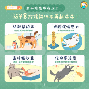 亂尿不是愛搗亂！8 技巧有效改善在貓咪在床上亂尿尿
