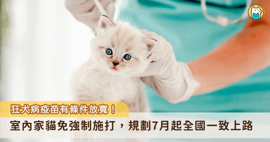 農業部防檢署預計今年 7 月起有條件放寬狂犬病施打條件，只要是飼養於室內的家貓，外出時會以箱籠裝載等避免貓咪脫逃措施者，就不再強制施打狂犬病疫苗，不過會外出的貓隻考量到有機會接觸其他動物的風險，仍需要施打狂犬病疫苗。