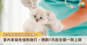 農業部防檢署預計今年 7 月起有條件放寬狂犬病施打條件，只要是飼養於室內的家貓，外出時會以箱籠裝載等避免貓咪脫逃措施者，就不再強制施打狂犬病疫苗，不過會外出的貓隻考量到有機會接觸其他動物的風險，仍需要施打狂犬病疫苗。