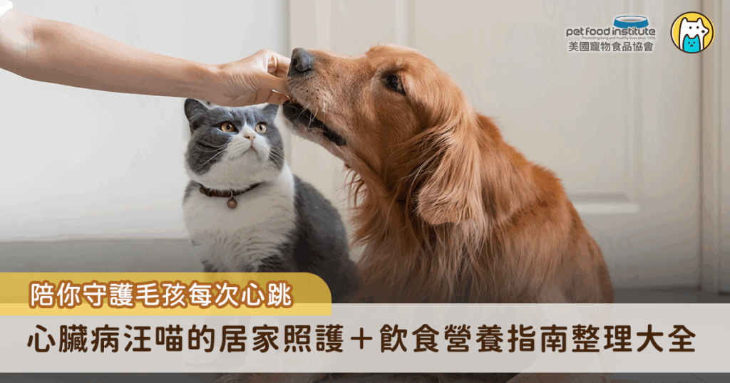 毛孩診斷出心臟病對飼主來說是一場長時間的醫療戰，需要耐心陪伴牠們度過，除了聽從醫囑服藥，日常的照護與營養攝取也是重點之一，以下分享毛孩心臟病的居家照護及飲食指南，讓飼主更了解平時該如何預防及照顧，一起守護毛孩的每個心跳，讓毛孩陪伴我們更久。