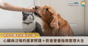 毛孩診斷出心臟病對飼主來說是一場長時間的醫療戰，需要耐心陪伴牠們度過，除了聽從醫囑服藥，日常的照護與營養攝取也是重點之一，以下分享毛孩心臟病的居家照護及飲食指南，讓飼主更了解平時該如何預防及照顧，一起守護毛孩的每個心跳，讓毛孩陪伴我們更久。