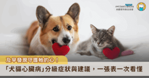 台灣天氣從每年 5、6 月就開始炎熱，對毛孩來說，不只中暑風險升高，心臟也可能承受不了，尤其是原本就有心臟病的犬貓，在這種高溫下更容易心肺負擔變大、喘不過氣，嚴重甚至會引發急性心衰竭。除了平常就要留意毛孩的狀況，夏天更要注意別讓牠們待在太熱的環境，且一定要有陰涼處跟足夠的水，才比較安全。