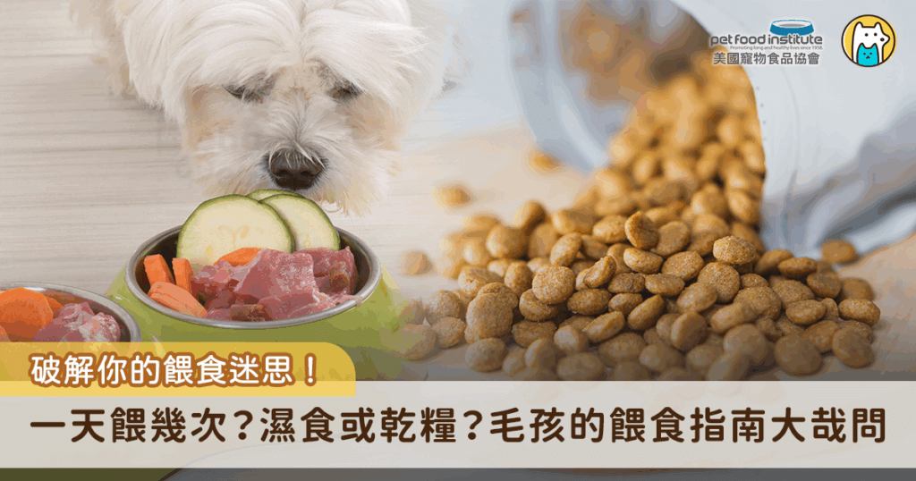 對飼主而言，讓毛孩吃對、吃好，是每天最基本也最重要的責任。然而在資訊爆炸的時代，飼主經常會陷入「到底該選乾糧還是濕糧？」、「一天餵幾次才好？」、「如何讓牠不要狼吞虎嚥？」這些令人苦惱的選擇裡。其實，寵物的飲食安排遠比想像中的更有學問，從餵食頻率、食物型態，到飲食行為管理，每個環節都直接影響牠們的健康與壽命。