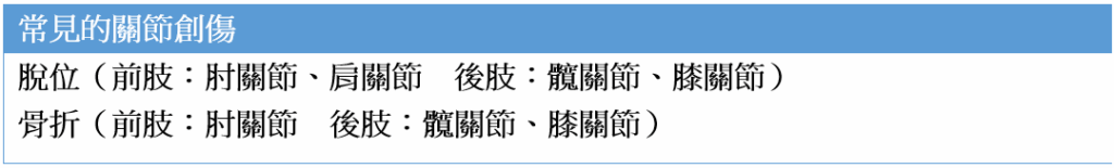 獸醫解析老狗殺手「慢性關節炎」 2致病因素、診斷檢查一次告訴你 隨著醫療的進步,越來越多毛孩能健康邁入老年,但高齡犬常見的「慢性關節炎」卻成了牠們生活品質的隱形殺手。關節炎不只是單純的老化,背後涉及複雜的病理變化與多重原因,Wondervet 超級好獸醫分享關於關節炎的相關知識,包含治病因素和獸醫會如何診斷,全方面解析讓飼主更清楚了解關節炎對狗狗的影響。