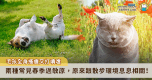 在百花齊放的春季，清新空氣中充滿了生機，然而，對於家中有過敏體質毛孩的飼主來說，春季卻也代表著另一場挑戰的開始。許多飼主會發現，家裡毛孩在這個時期變得特別容易抓癢、皮膚泛紅，甚至出現流眼淚、打噴嚏等症狀，這並不是偶然，而是春季常見的環境過敏原正悄悄影響著牠們的健康。