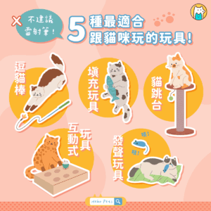 雷射筆OUT！飼主必看：農業部不建議的貓玩具及 5 種安心選擇