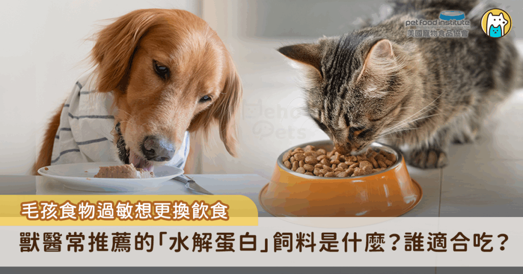 當毛孩出現皮膚搔癢、腸胃不適、食慾下降等問題時，許多飼主第一時間會懷疑是否與食物過敏有關，此時，「水解蛋白」飼料常常成為獸醫推薦的飲食選項，到底水解蛋白飼料與一般飼料差異在哪裡呢？有哪些毛孩適合吃水解蛋白飼料？種種的疑問一次幫飼主們解答。