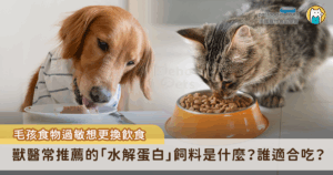 當毛孩出現皮膚搔癢、腸胃不適、食慾下降等問題時，許多飼主第一時間會懷疑是否與食物過敏有關，此時，「水解蛋白」飼料常常成為獸醫推薦的飲食選項，到底水解蛋白飼料與一般飼料差異在哪裡呢？有哪些毛孩適合吃水解蛋白飼料？種種的疑問一次幫飼主們解答。