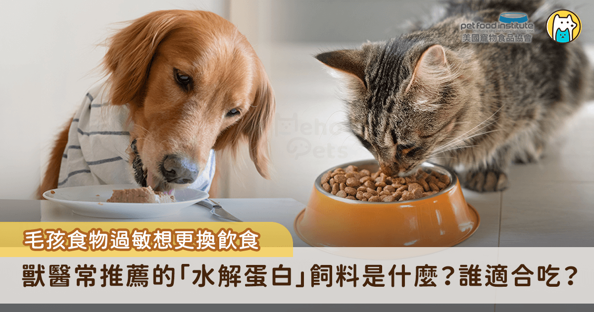 當毛孩出現皮膚搔癢、腸胃不適、食慾下降等問題時，許多飼主第一時間會懷疑是否與食物過敏有關，此時，「水解蛋白」飼料常常成為獸醫推薦的飲食選項，到底水解蛋白飼料與一般飼料差異在哪裡呢？有哪些毛孩適合吃水解蛋白飼料？種種的疑問一次幫飼主們解答。