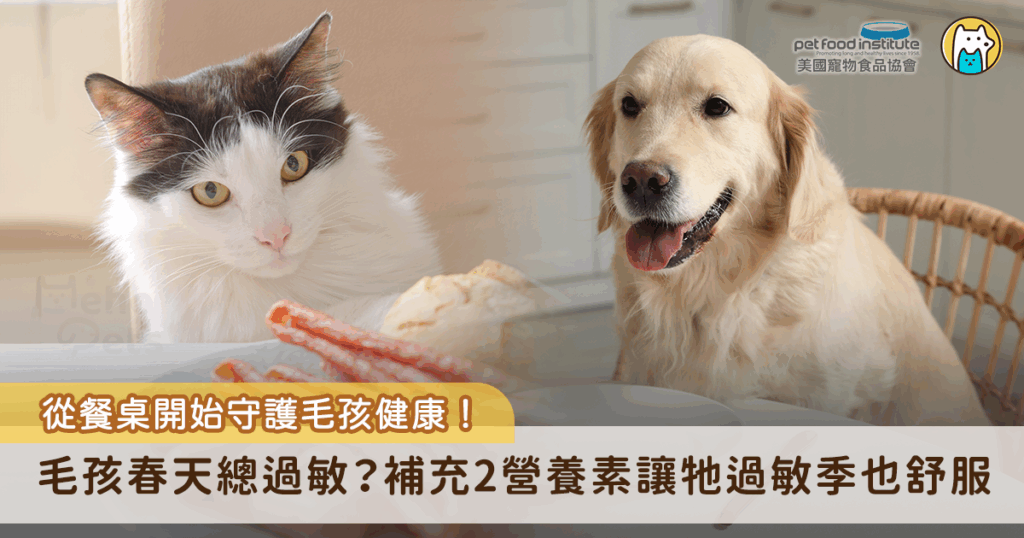 當春季來臨，不只是人類會因為花粉、黴菌等過敏原感到不適，毛孩們也經常出現皮膚搔癢、紅腫或打噴嚏等症狀，除了環境管理與日常清潔，飲食也是協助毛孩對抗過敏反應的重要環節。許多飼主可能沒有意識到，食物中所含的營養素其實有助緩解毛孩的過敏症狀，讓牠們在這個敏感季節過得更舒適。