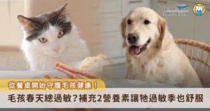 當春季來臨，不只是人類會因為花粉、黴菌等過敏原感到不適，毛孩們也經常出現皮膚搔癢、紅腫或打噴嚏等症狀，除了環境管理與日常清潔，飲食也是協助毛孩對抗過敏反應的重要環節。許多飼主可能沒有意識到，食物中所含的營養素其實有助緩解毛孩的過敏症狀，讓牠們在這個敏感季節過得更舒適。