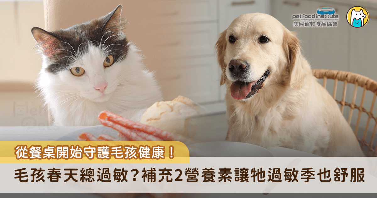 當春季來臨，不只是人類會因為花粉、黴菌等過敏原感到不適，毛孩們也經常出現皮膚搔癢、紅腫或打噴嚏等症狀，除了環境管理與日常清潔，飲食也是協助毛孩對抗過敏反應的重要環節。許多飼主可能沒有意識到，食物中所含的營養素其實有助緩解毛孩的過敏症狀，讓牠們在這個敏感季節過得更舒適。