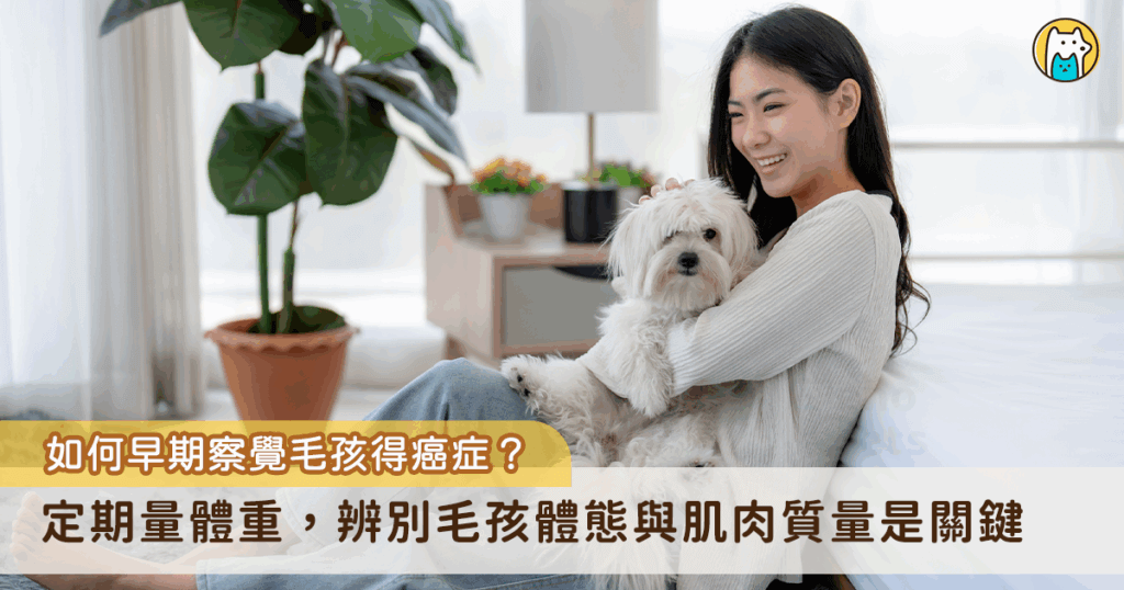 小動物癌症的發生率比想像的常見。從門診病患討論至老年犬貓最常見的死亡原因，目前癌症已經躍升為狗的十大死因第一位，貓為第二位。除了慢性病腎臟病與心臟病以外，癌症在犬貓是不容忽視的問題。