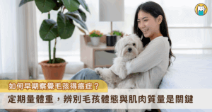 小動物癌症的發生率比想像的常見。從門診病患討論至老年犬貓最常見的死亡原因，目前癌症已經躍升為狗的十大死因第一位，貓為第二位。除了慢性病腎臟病與心臟病以外，癌症在犬貓是不容忽視的問題。