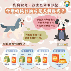 狗狗的飲食在不同年齡階段都很重要，不僅能維持健康，還有助於控制疾病。如果家裡的毛孩已經慢慢步入老年，可能就需要重新調整牠的飲食。不過這個轉變不能太急，得慢慢來才行。幫大家整理了關於老犬飼料的重點，讓你更清楚什麼時候該幫毛孩換飼料，又該怎麼換。