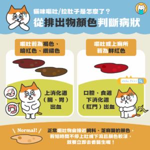 貓咪又嘔吐？一張圖用「排出物顏色」分辨牠的身體狀況！