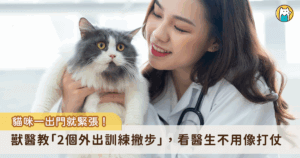 你是否有過這些經驗？要帶貓咪出門的時候發現聰明的牠已經去躲起來了，還藏在你很難抓得到的地方，或是想把貓咪放進外出籠或背包裡面的時候遭遇頑強抵抗，花了好久時間好不容易出門了，結果遲到沒趕上約診時間，又要繼續等更久