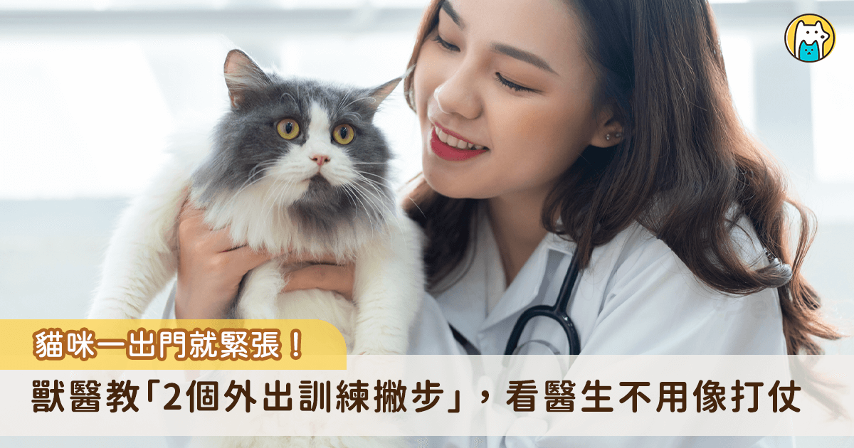 你是否有過這些經驗？要帶貓咪出門的時候發現聰明的牠已經去躲起來了，還藏在你很難抓得到的地方，或是想把貓咪放進外出籠或背包裡面的時候遭遇頑強抵抗，花了好久時間好不容易出門了，結果遲到沒趕上約診時間，又要繼續等更久
