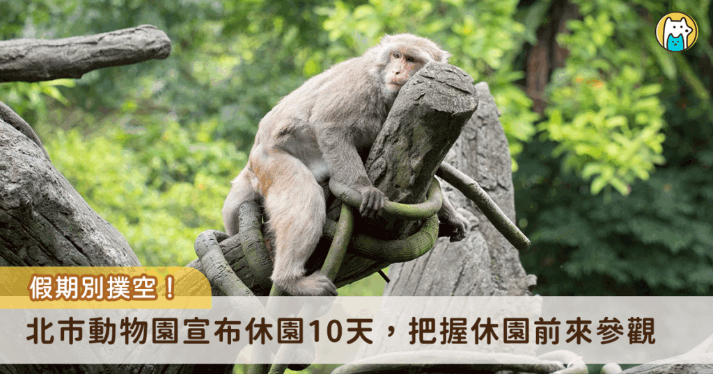 台北市立動物園為了進行必要維護管理，將進行修園，更新動物們的室內外活動環境，今年不對外開放日期自 6 月 18 日 (三) 至 6 月 27 日 (五) 止，總計 10 天，提醒民眾若有前來動物園的規劃，請務必避開這段期間。