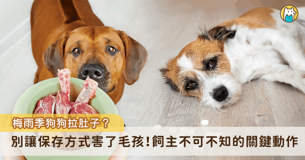 許多飼主都有過類似的經驗，狗狗突然拉肚子、精神不濟，但回想牠吃下肚的似乎都是平常的飼料或鮮食，事實上，有時問題並非出在食物本身，而是在飼主處理食物的過程中，少了一個關鍵動作—「保存與分裝」。